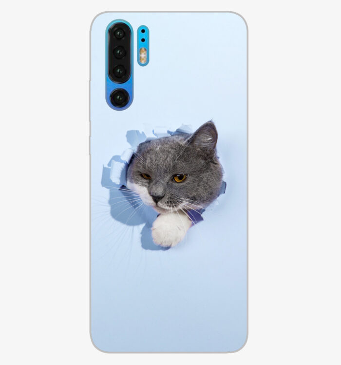 Husa pentru HUAWEI P30 PRO Atlantic ArtPrint multicolor ATL0008