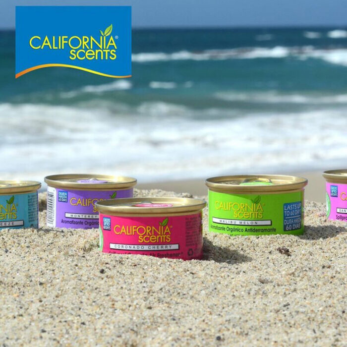 Odorizant Auto pentru Masina Gel California Scents Santa Cruz Beach 1